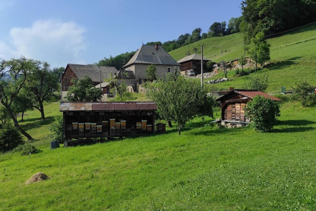 L'Echappee Belle En Montagne - Site Location-Chalet Mieussy Extérieur photo